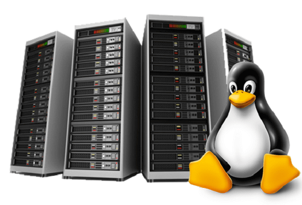 What Is Linux Managed VPS